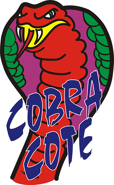 Cobra Cote Vinyl Protector Rockhampton
